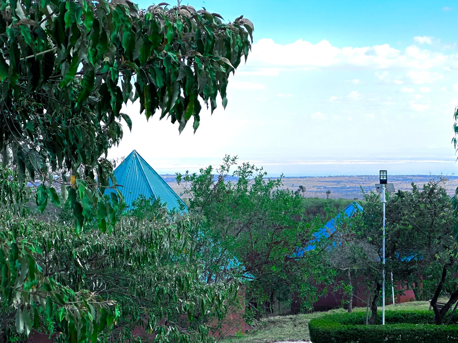 Lake Manyara View